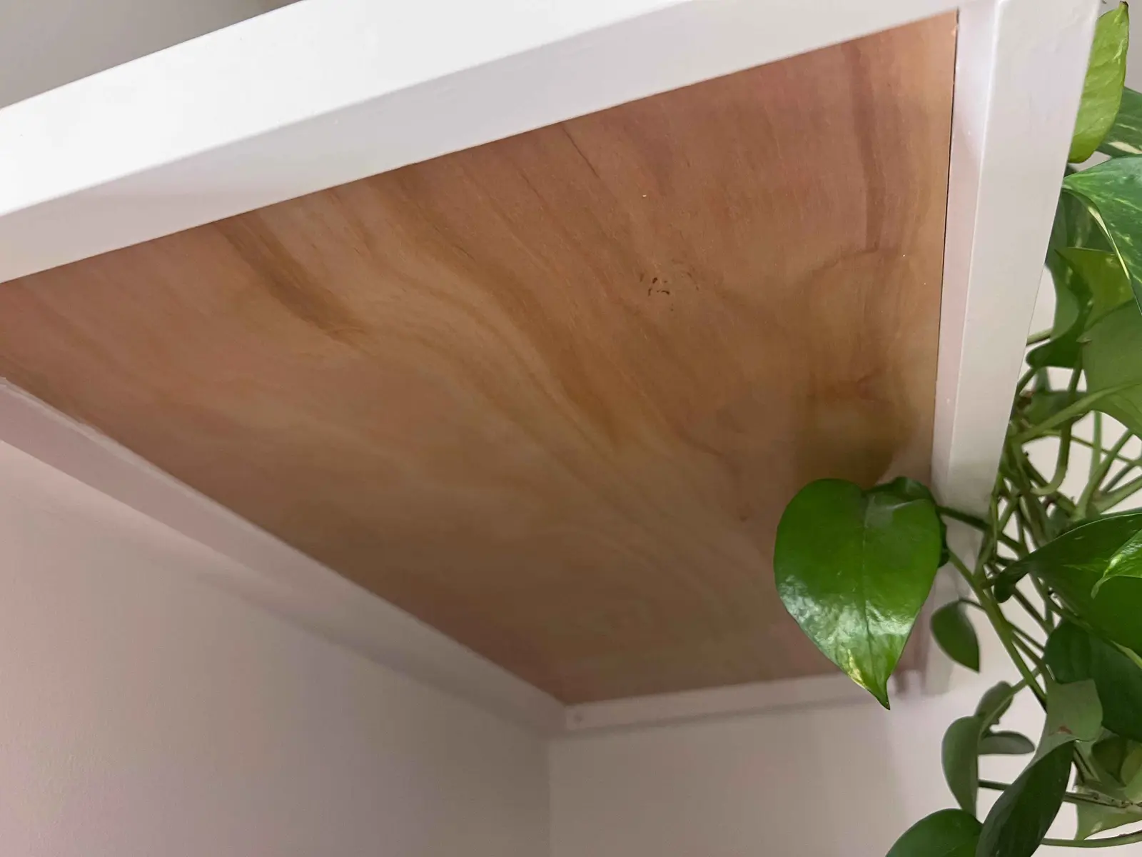 Representative Urban Fresh Services cabinet project for Rome homeowners